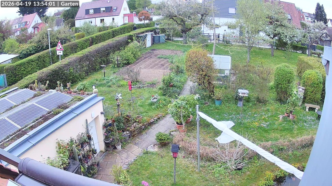 Bild Garten